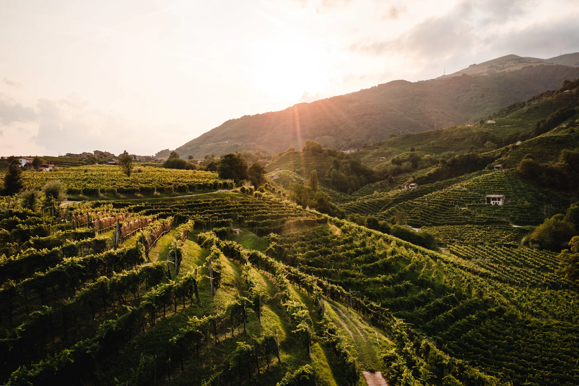 TEST:: VALDOBBIADENE DOCG - 0.375L